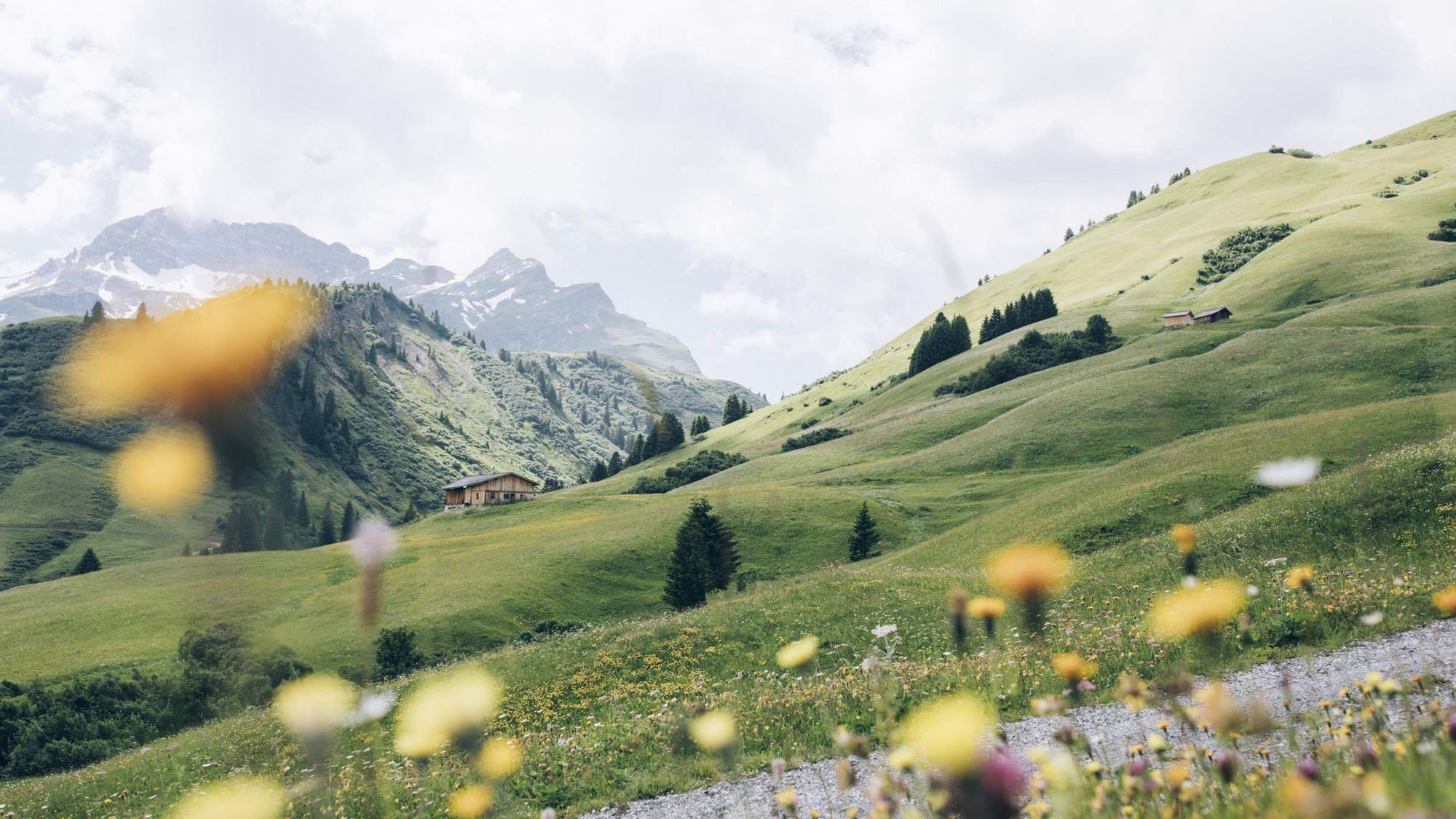 Berglandschaft mit grünen Hügeln und Wildblumen unter einem teilweise bewölkten Himmel