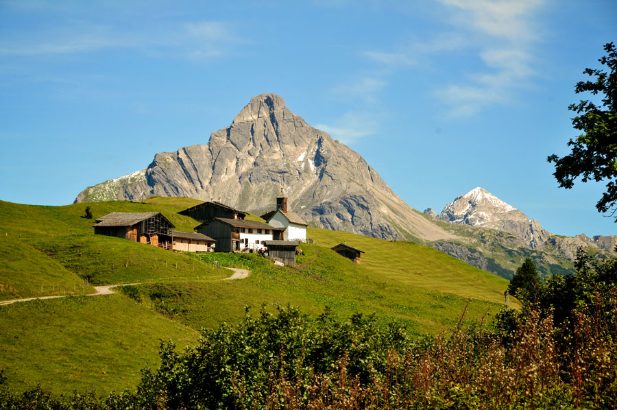 Alpenidylle erleben Almhütten auf einer grünen Wiese mit markanter Vorarlberger Bergkulisse im Hintergrund