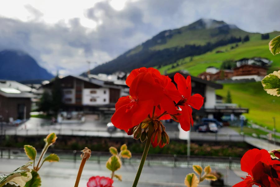 Vibrante rote Blumen im Vordergrund mit Bergen und einem Dorf im Hintergrund unter einem bewölkten Himmel